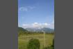 DSC02187.jpg