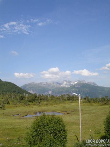 DSC02187.jpg