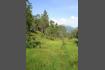 DSC02185.jpg