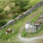 DSC02439.jpg