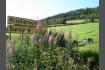 DSC02094.jpg