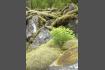 DSC02424.jpg