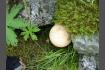 DSC02440.jpg