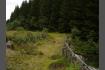 DSC02429.jpg