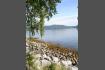 DSC02158.jpg