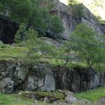 DSC02407.jpg