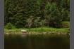 DSC02427.jpg