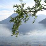 DSC02159.jpg