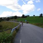 DSC02390.jpg