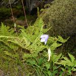 DSC02425.jpg