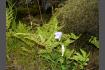 DSC02425.jpg