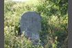 DSC02097.jpg