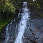 DSC02356.jpg