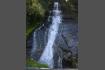 DSC02356.jpg