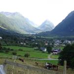 DSC02389.jpg