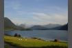 DSC02196.jpg