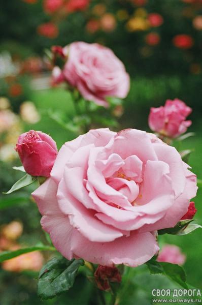 19970159.JPG