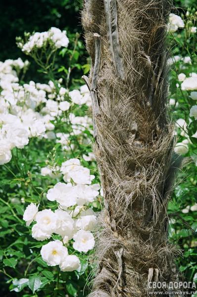 19970149.JPG