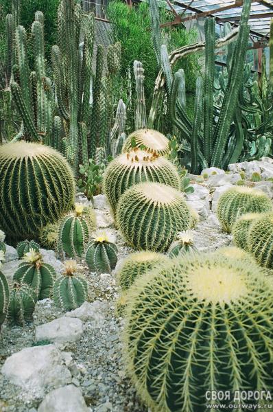 19970143.jpg