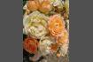 DSC07339.jpg