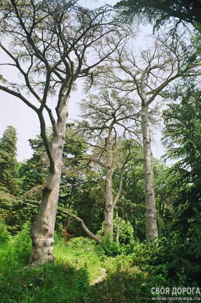 19970152.JPG