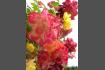DSC07348.jpg