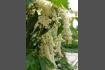 DSC07343.jpg