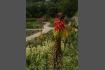 DSC07415.jpg