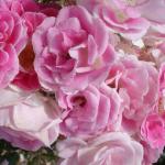 DSC07341.JPG