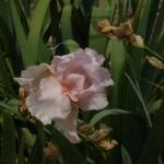 DSC07412.JPG