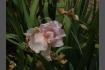 DSC07412.JPG