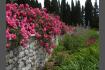 DSC07406.JPG