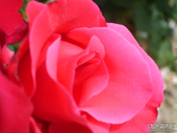DSC07335.JPG
