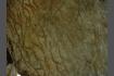 DSC07452.JPG