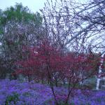 DSCN0797