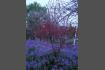 DSCN0797