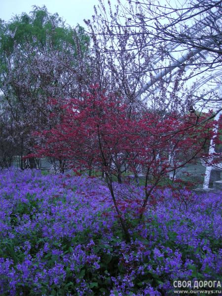 DSCN0797