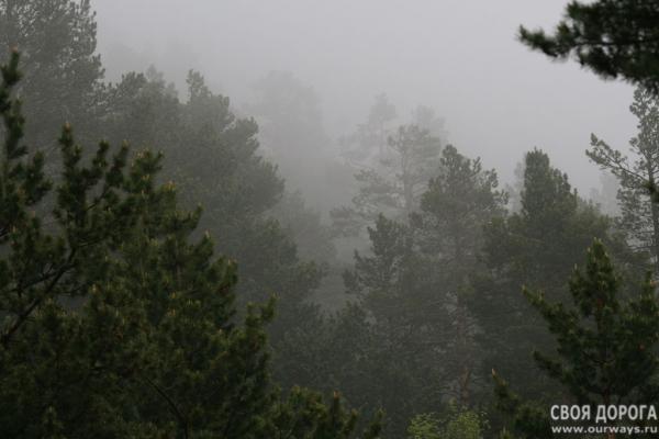 ***