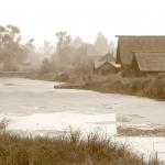 ������1