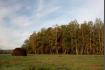 ����� ������, ����� ���� �������
