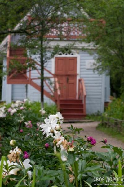 IMG_9449