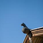IMG_9692