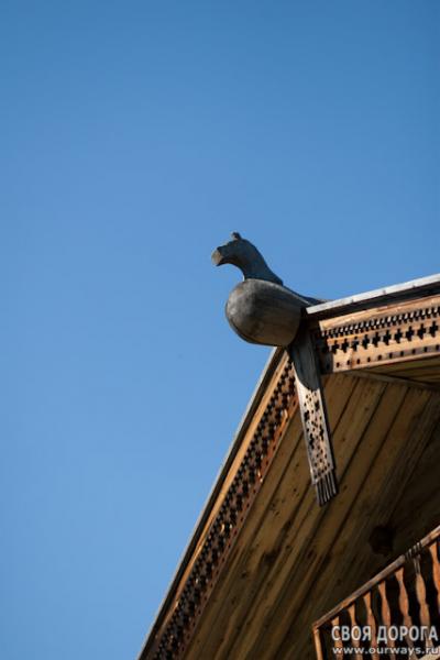 IMG_9692