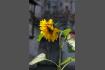 IMG_0493