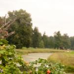 IMG_0691