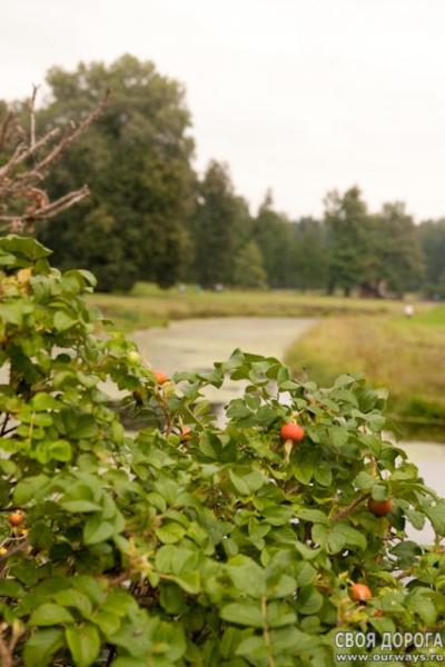IMG_0691
