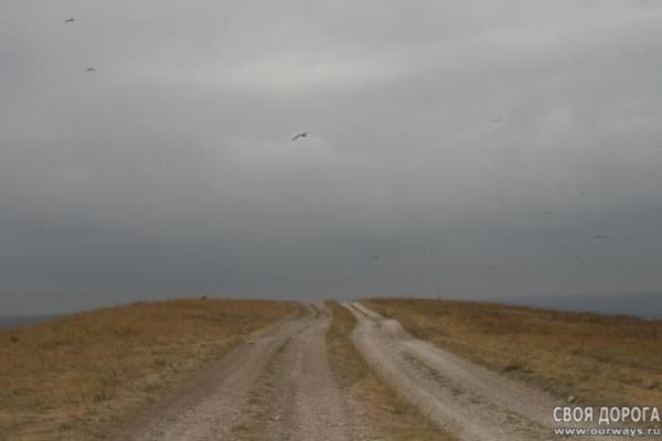 IMG_1278