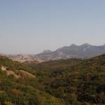 IMG_12871