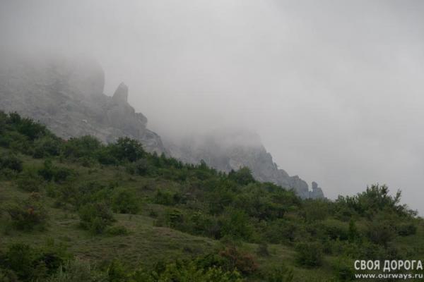 IMG_2333