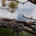 IMG_2378